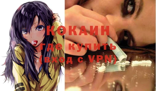 крисы Мегион