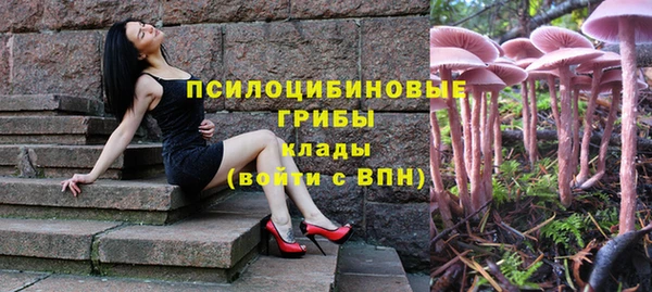 прущие крисы Михайлов