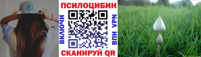 Псилоцибиновые грибы Psilocybe  купить наркотик  дарк нет клад  Тюмень 