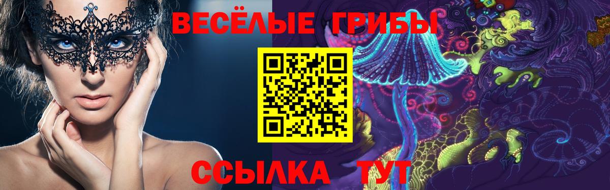 Псилоцибиновые грибы GOLDEN TEACHER Тюмень