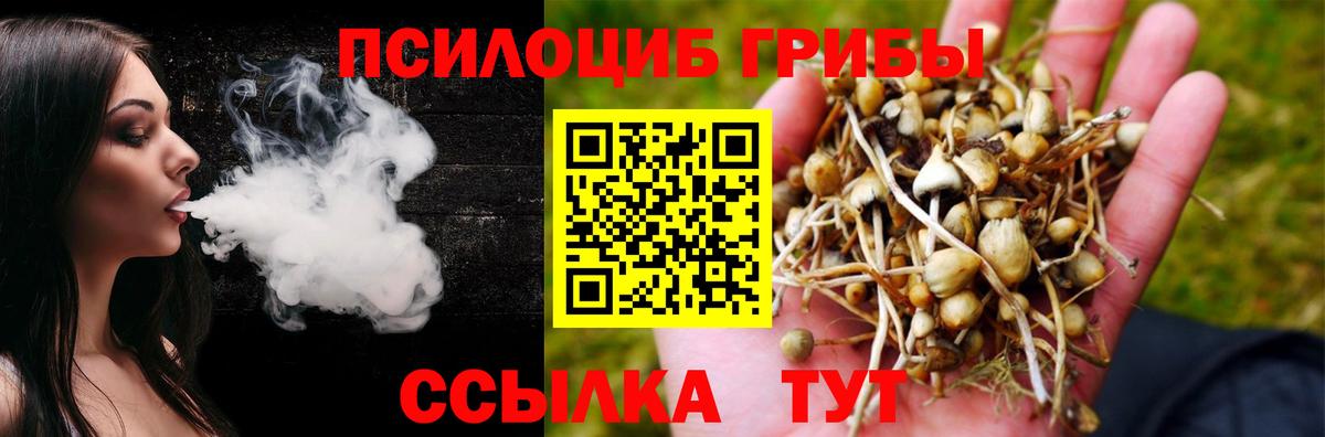 купить закладку  Вход с VPN  Галлюциногенные грибы GOLDEN TEACHER  Тюмень  Галлюциногенные грибы MAGIC MUSHROOMS 
